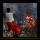 گروه فيلمسازي "کوهستان قنديل" درحال اطفاء حريق جنگل در كردستان عراق / احمد آقاسياني